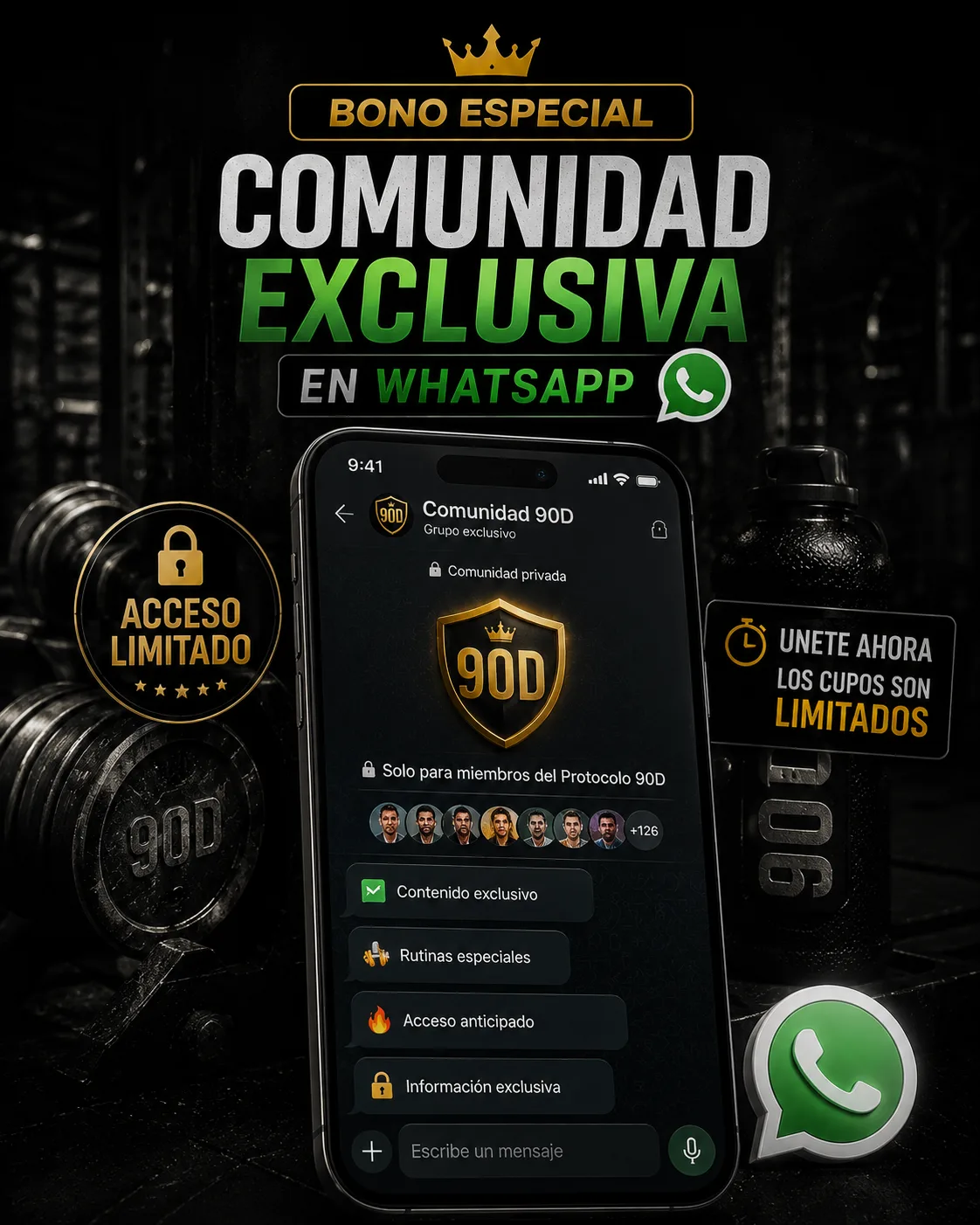Comunidad Exclusiva WhatsApp